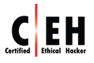 Certified Ethical Hacker